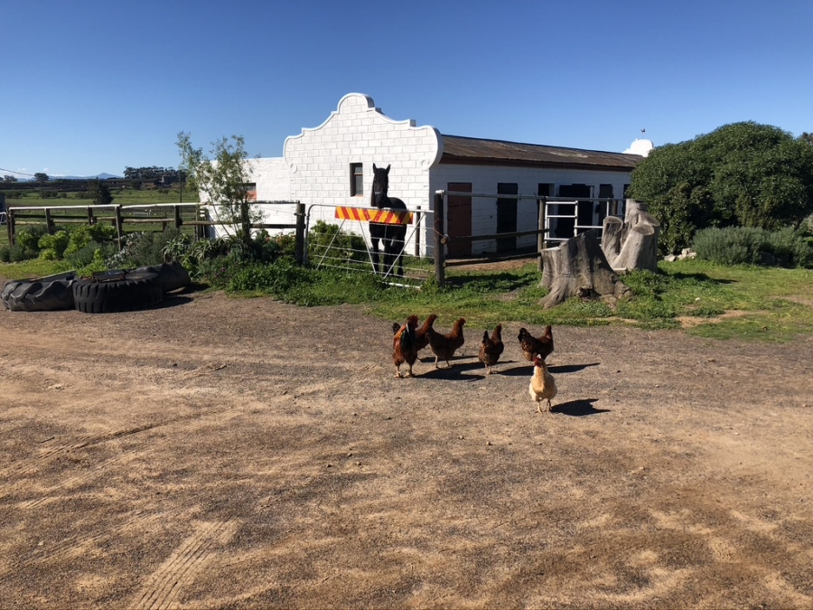 4 Bedroom Property for Sale in Durbanville Western Cape